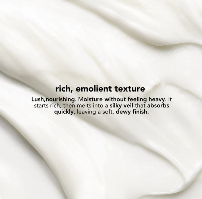 About screenshot 11 5 2026 18649 mitchellbrands.eu